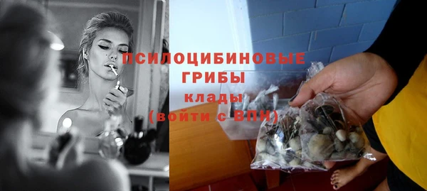 индика Володарск