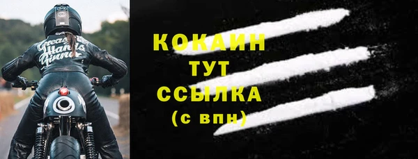 индика Володарск