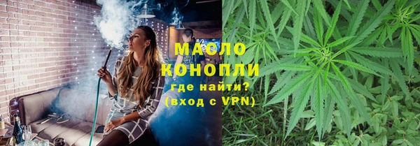 индика Володарск