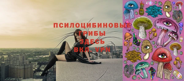 индика Володарск
