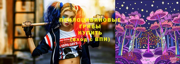 индика Володарск