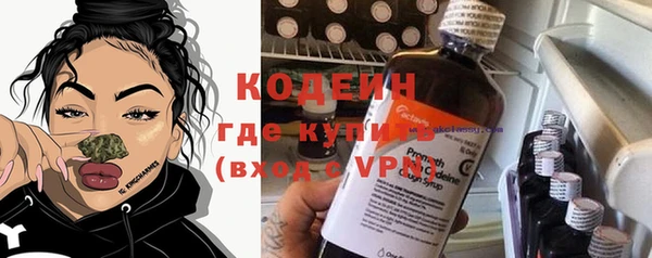 индика Володарск