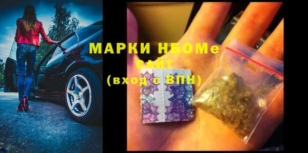 индика Володарск