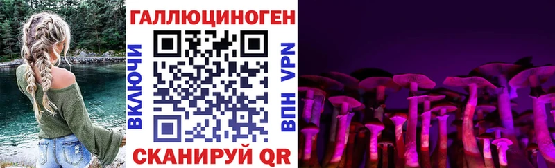 Галлюциногенные грибы Magic Shrooms  Катайск 